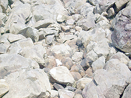 rock_pebbles