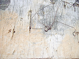 ruins_wood_texture