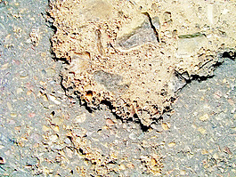 concrete_road