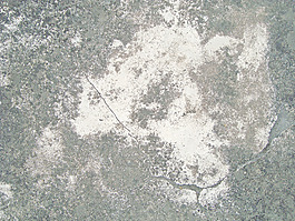 grunge_concrete