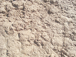 rough_texture