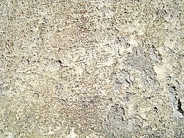 grungy_bg