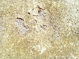 old_surface_texture