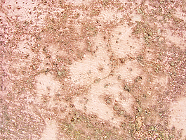 texture_background