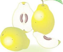 玫瑰蘋果5