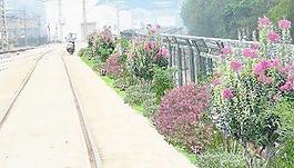 道路設(shè)計(jì)psd效果圖