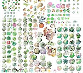 ps平面植物圖