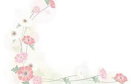 弗洛花47