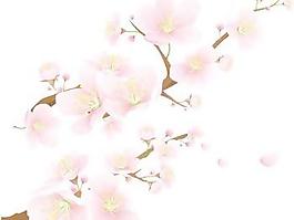 花開6