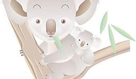 考拉1