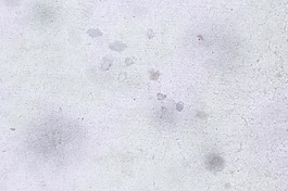 微妙的表面纹理19
