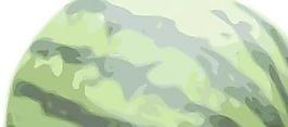西瓜1