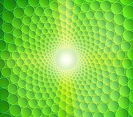 綠色抽象花紋背景矢量圖01