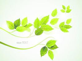 清新的綠色葉子背景矢量02