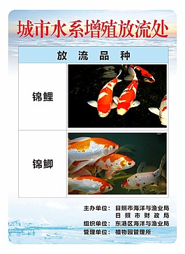 城市水洗系統增殖放流處