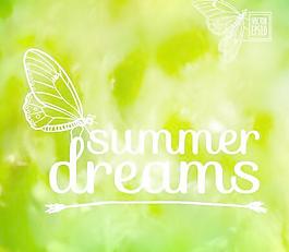 優雅的夏夢背景矢量藝術04