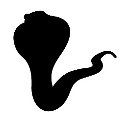 萬(wàn)圣節(jié)的蛇