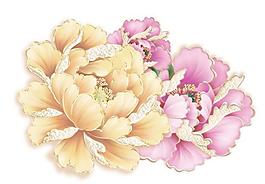 華麗的牡丹花PSD圖