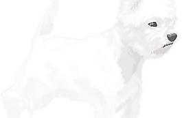 梗16