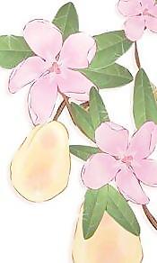 花開19