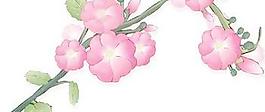 花開20