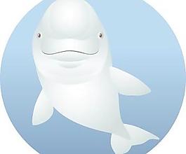 海豚8向量