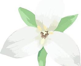 按钮的花卉矢量1