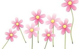 弗洛花48