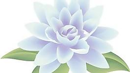 按鈕的花卉矢量