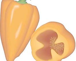 辣椒粉1