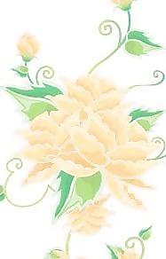 弗洛花38