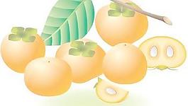 番茄2