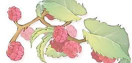 花開18