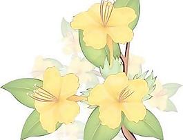 花開14