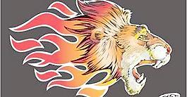 獅子4