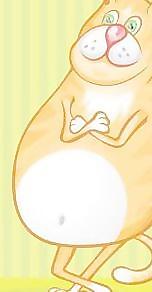貓49向量