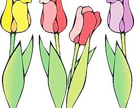 郁金香花4