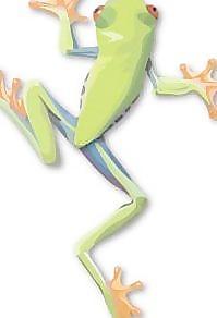 青蛙10