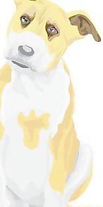 梗9
