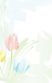 郁金香花18