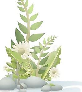 安迪植物的卵石和花剪贴画