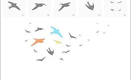 鳥類