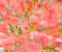 紅色的背景虛化