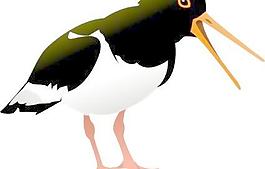 蠣鷸鳥剪貼畫