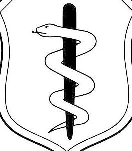 醫(yī)學(xué)的剪輯藝術(shù)