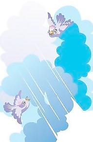2鳥向量