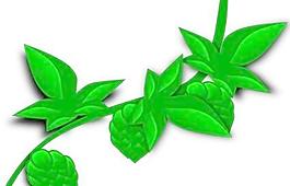啤酒花植物剪貼畫(huà)
