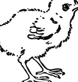 小雞剪貼畫
