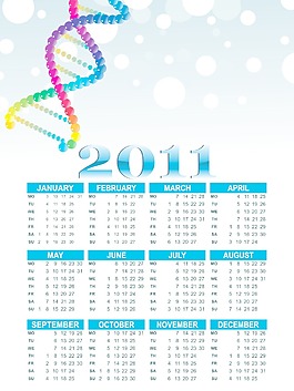 矢量日歷的新年2011