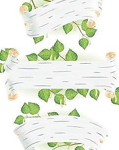 樹葉，樹枝和banner矢量素材